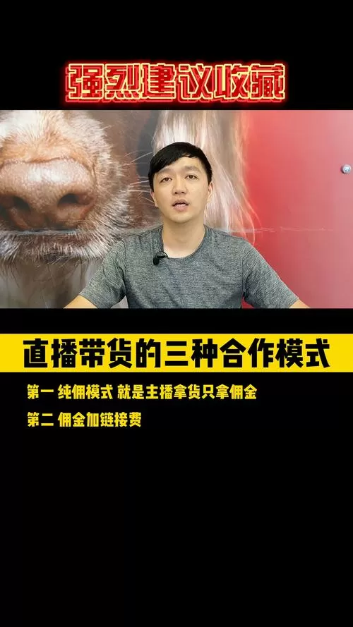 主播带货怎么合作方式