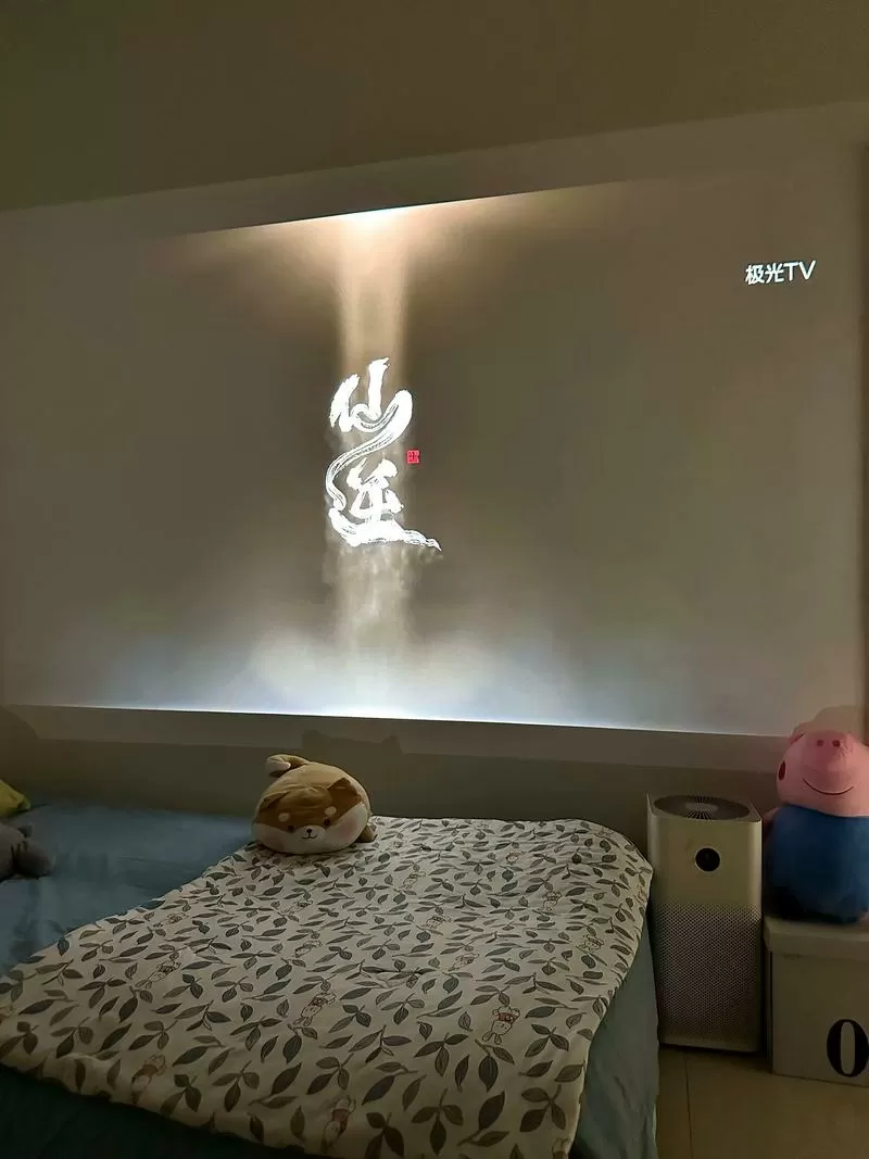 白墙可以投影吗截图