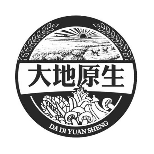 大地系统