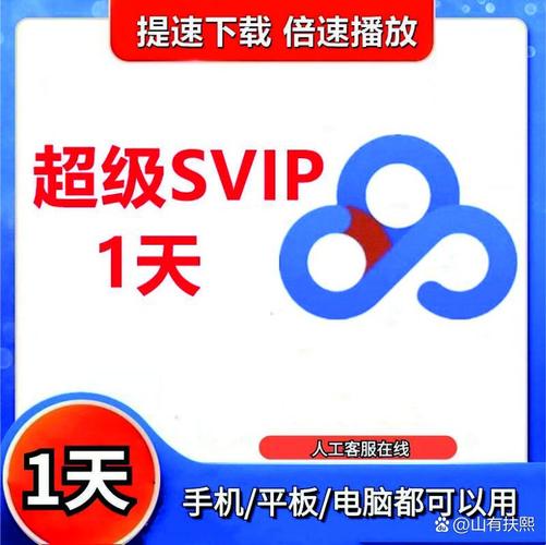 百度网盘svip永久破解版图标