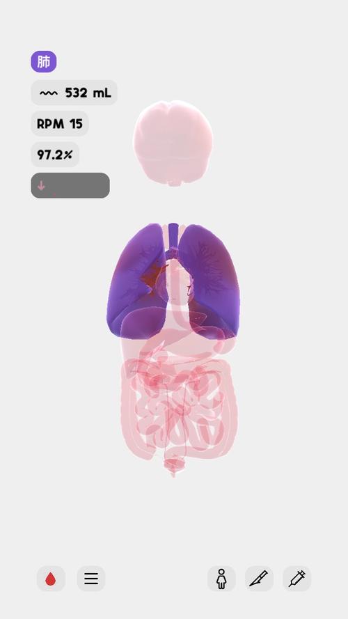 生命life中文版下载生命life汉化版 最新安卓