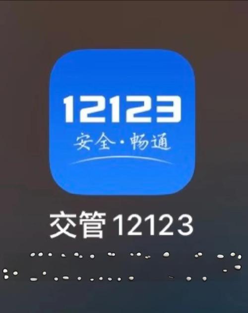 下载123123交通违章查询截图