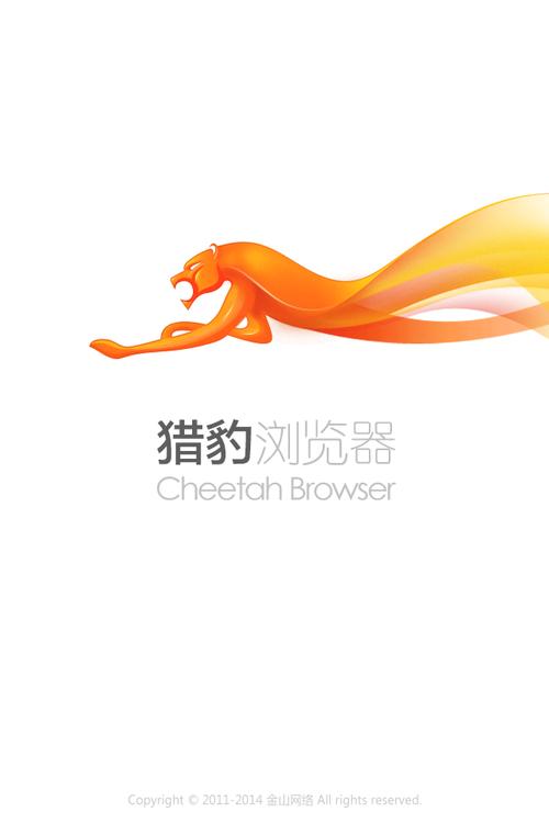 猎豹浏览器手机版截图