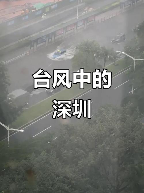 深圳台风网图标