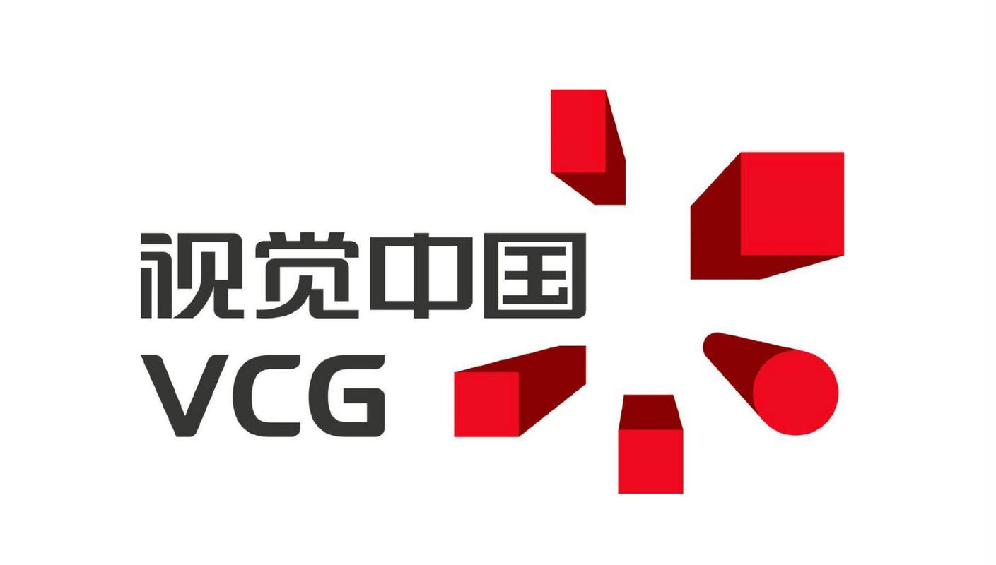 中国视觉联盟
