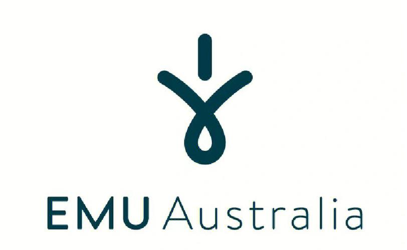 EMU666