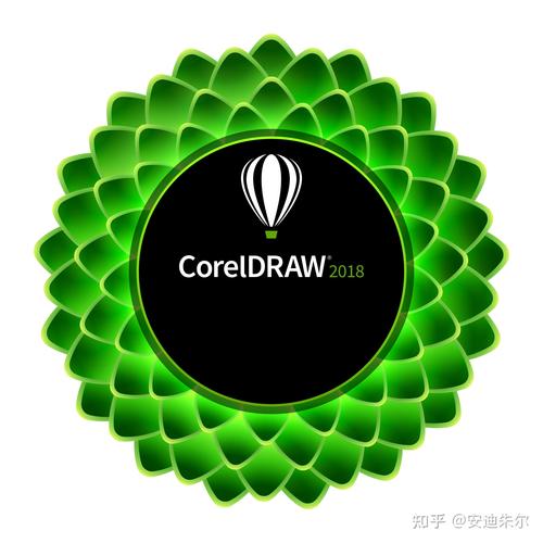 cdr9.0绿色版