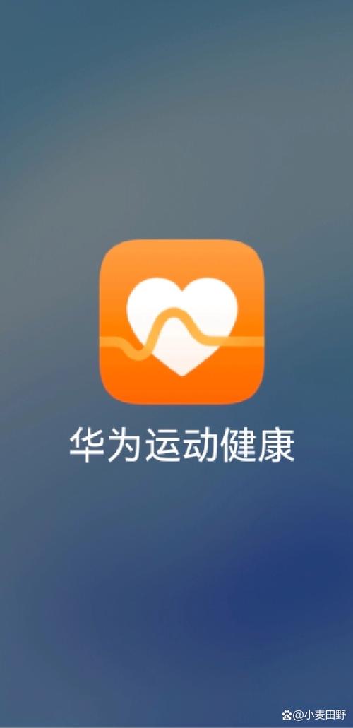 华为运动健康官方游戏截图