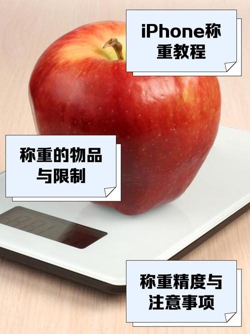 touchscale在线称重