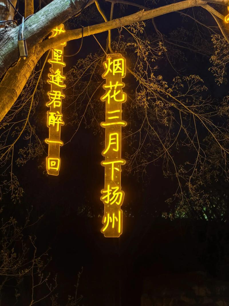 24桥明月夜截图