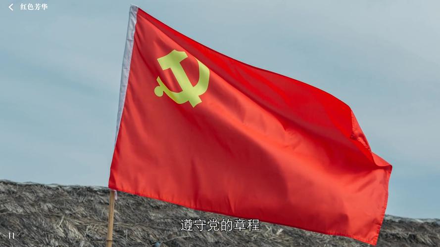隐形守护者【红色芳华线、全流程】《隐形守护者》图文图标