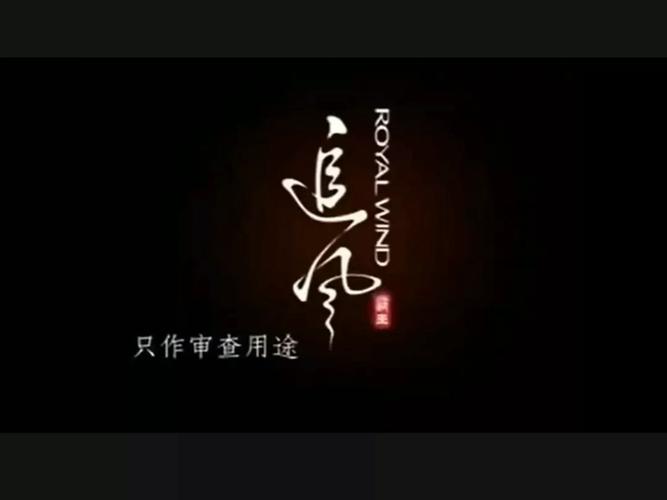 追风视频最新版无广告
