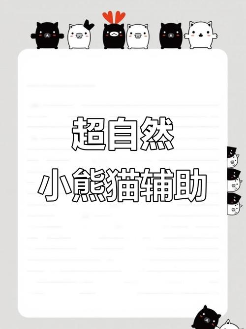 小熊猫辅助器