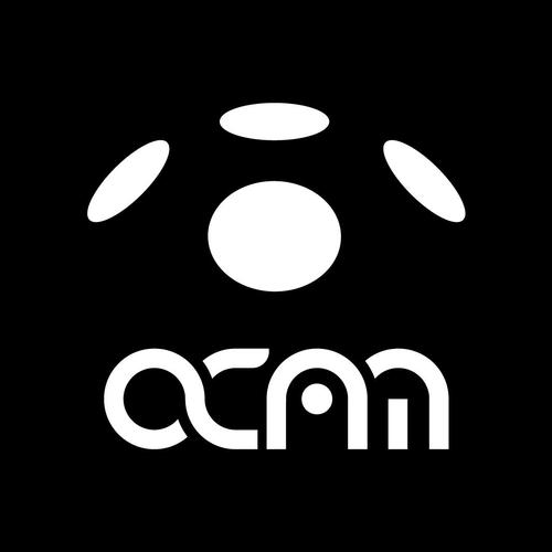 ocam截图
