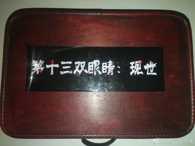 第十三双眼睛