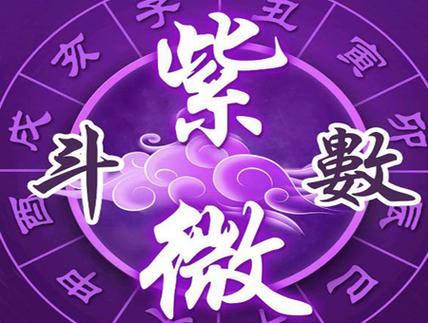 紫微斗数排盘软件