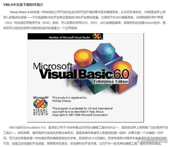 vb6.0