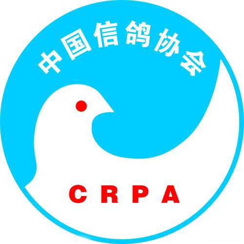 中鸽网