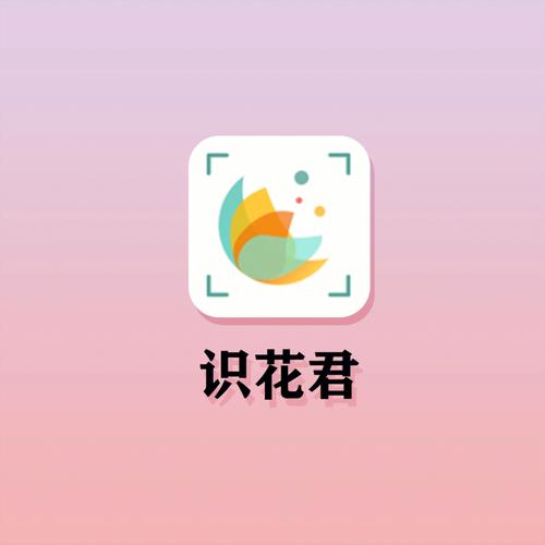 识花君
