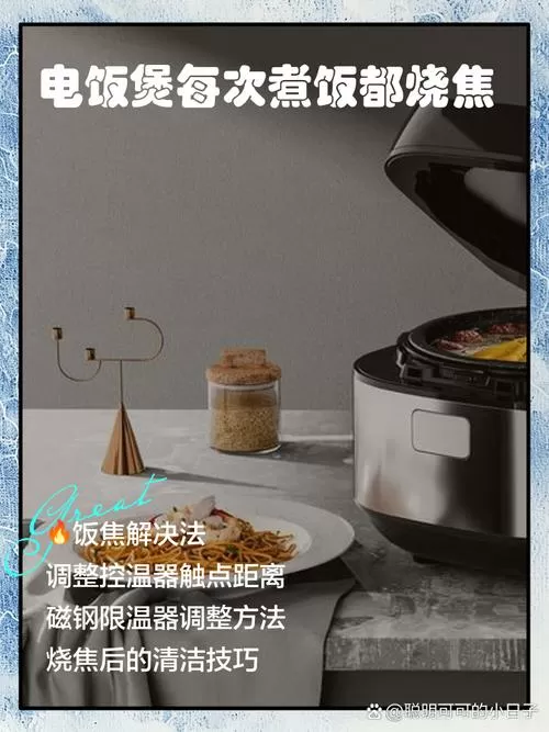 电饭锅烧焦了用什么办法处理
