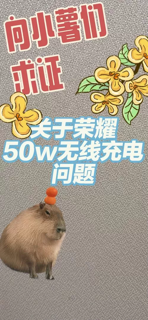 荣耀50w无线充电