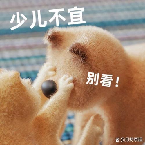 逗别看截图