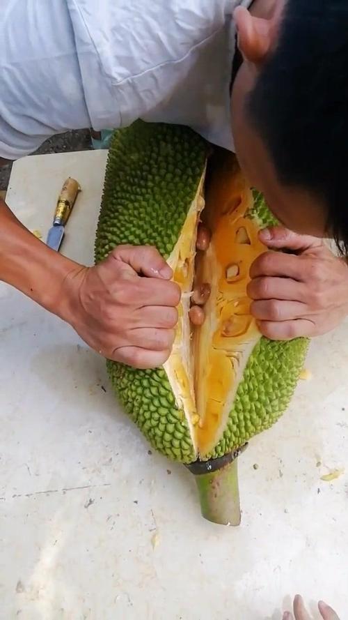 菠萝菠萝蜜免费视频