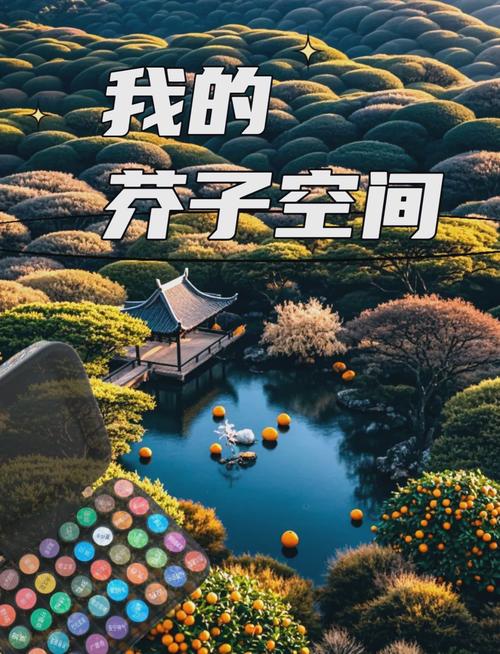 芥子空间正版