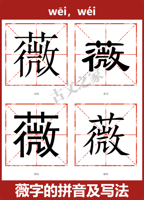 薇字怎么读