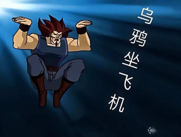 乌鸦坐飞机