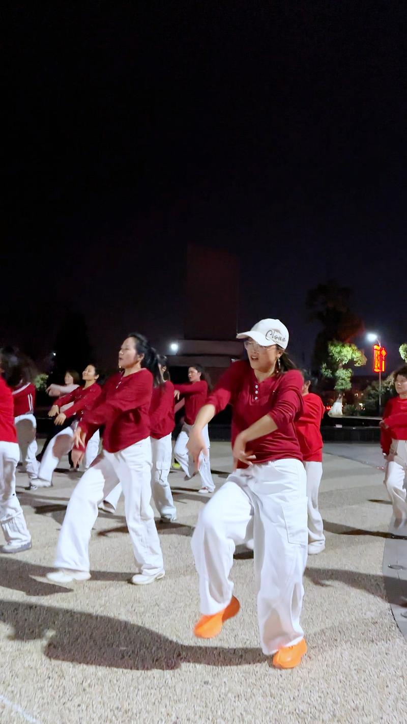 广场舞蹈视频大全缩略图