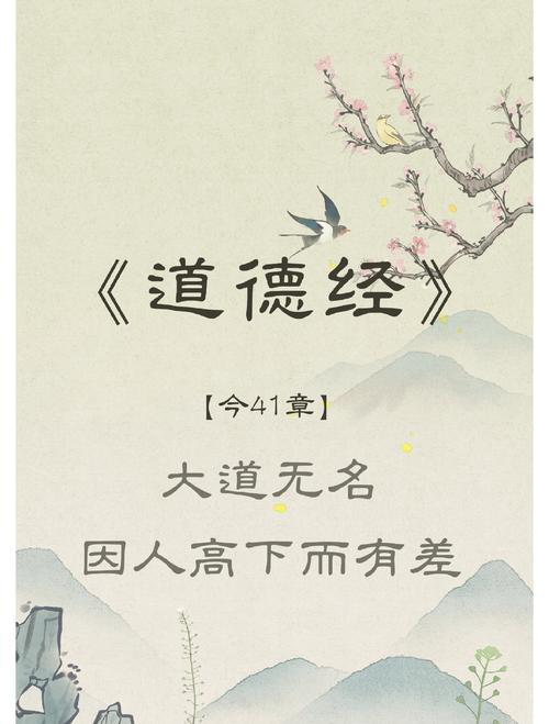 《高维寻道者》小说在线阅读