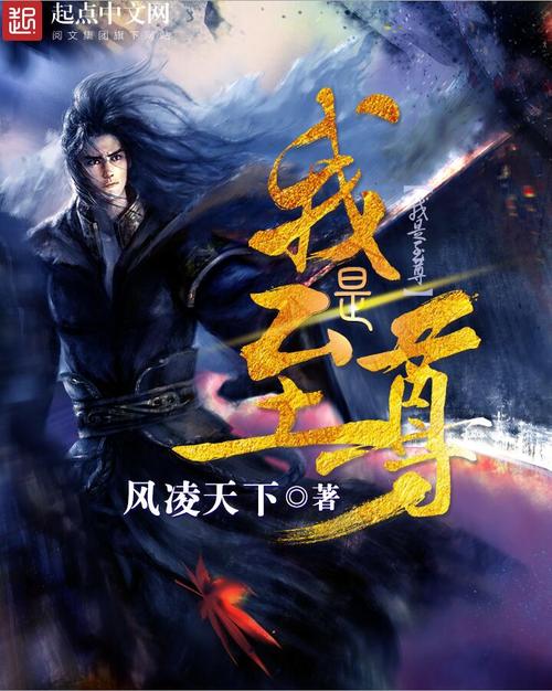 我是至尊小说