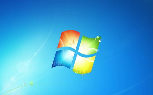 win7