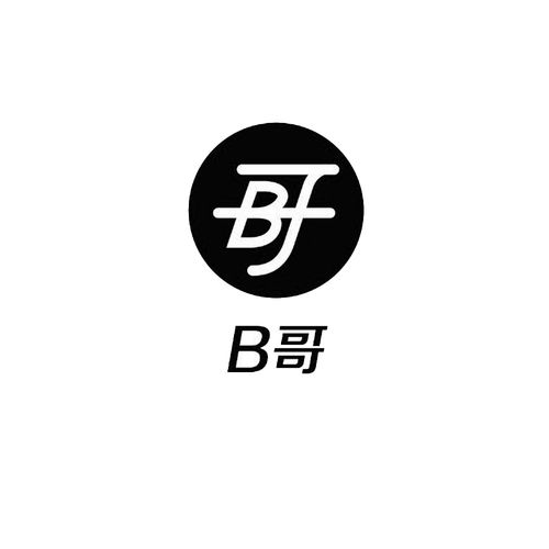 2b哥哥图标