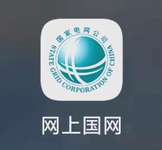 网上国网app官方安装