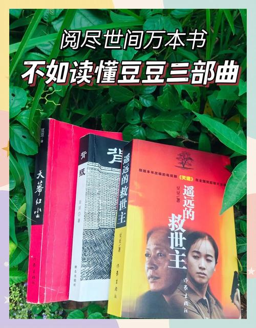 豆豆小说网图标