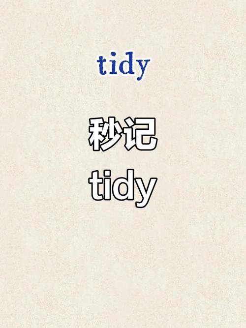 TIDY怎么读截图