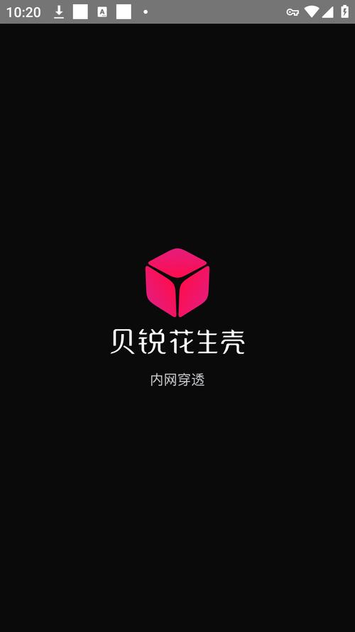 花生壳