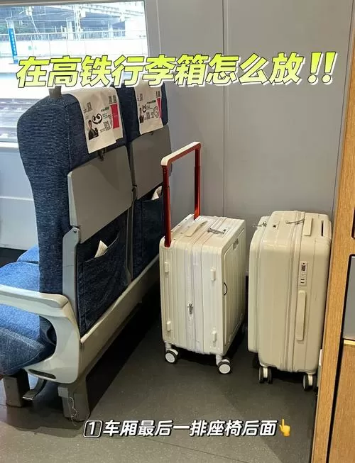 D开头动车大件行李在哪个位置