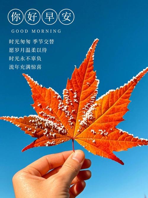 秋去冬来的文案唯美又好听秋去冬来落叶的唯美句子截图