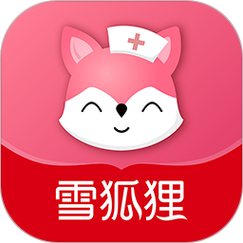 雪狐狸电脑版2025最新pc版截图