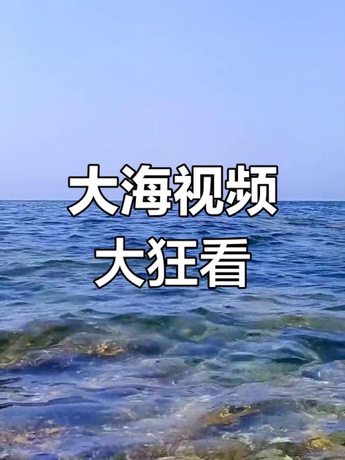 大海视频免广告版安装图标