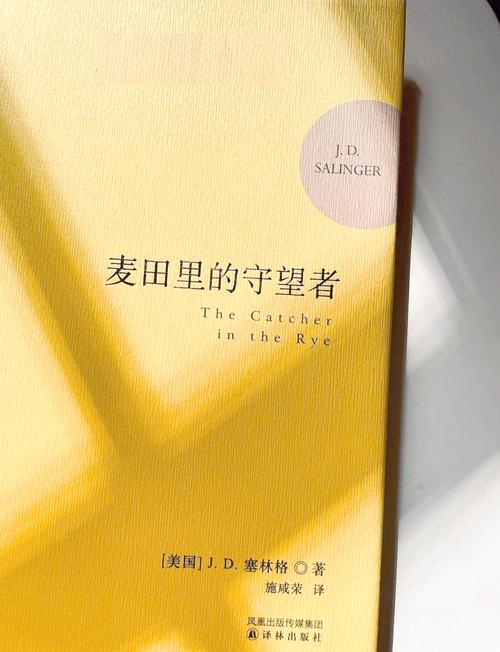 麦田里的守望者游戏截图