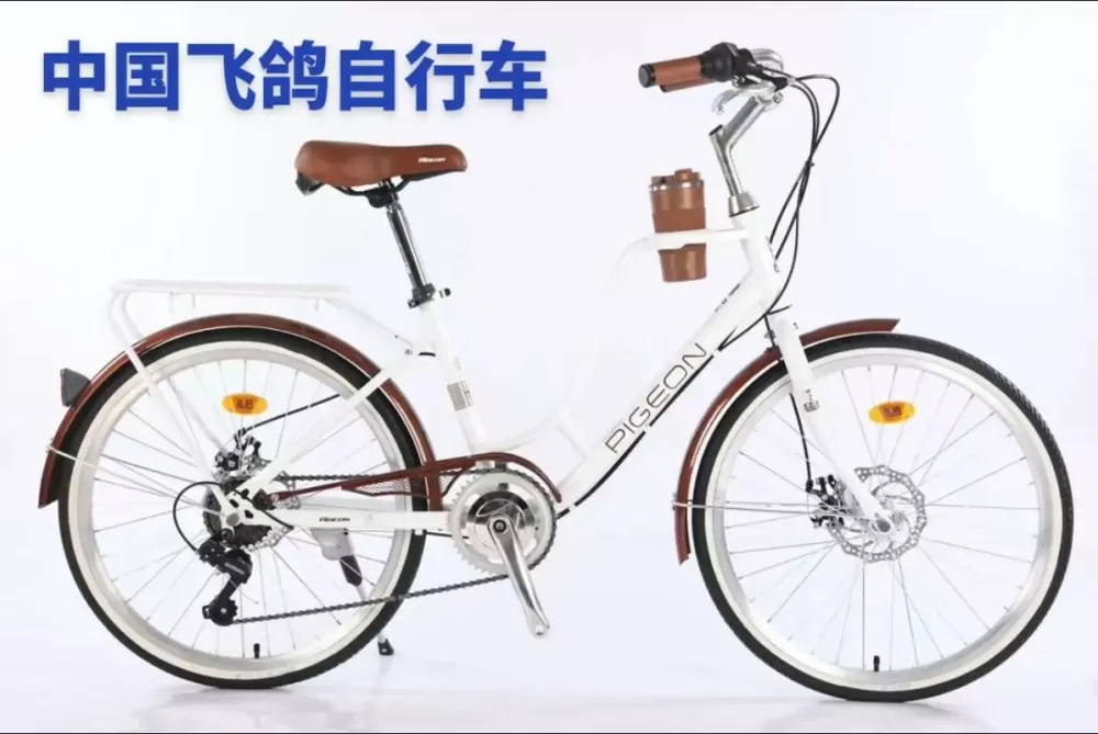 放鸽自行车是名牌吗?