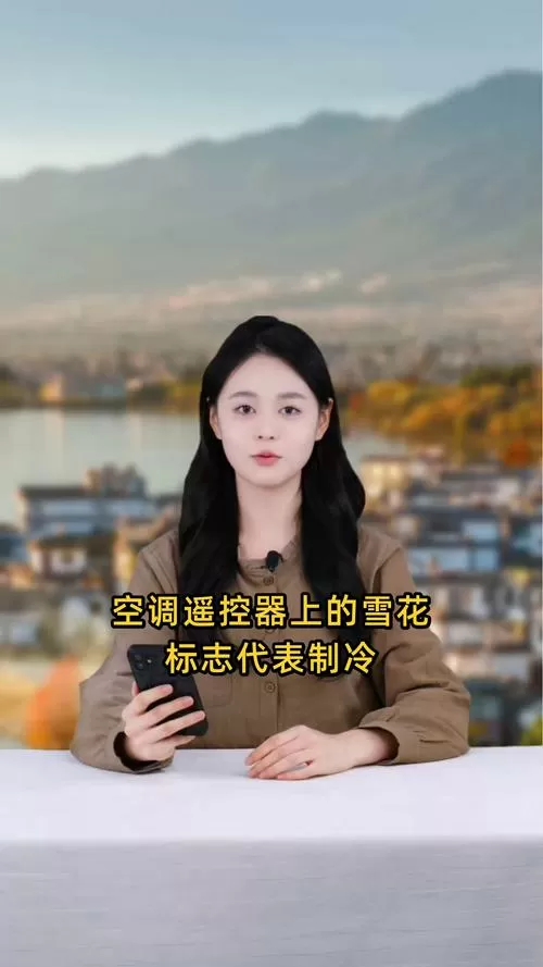 空调上显示雪花图案是什么意思