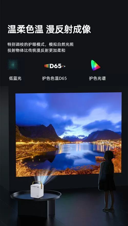 手机可以在墙上放投影吗