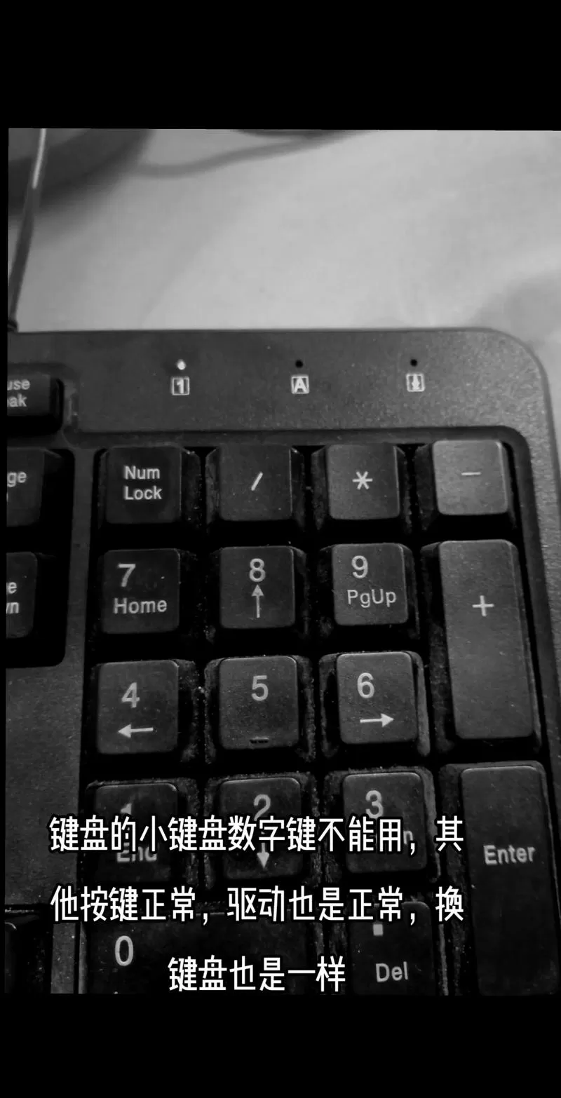 电脑小键盘数字键不能用怎么办