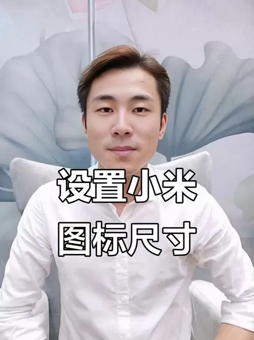 小米手机怎么改图标大小