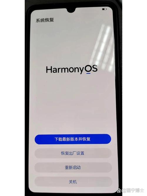 华为mate20安装未知应用权限截图